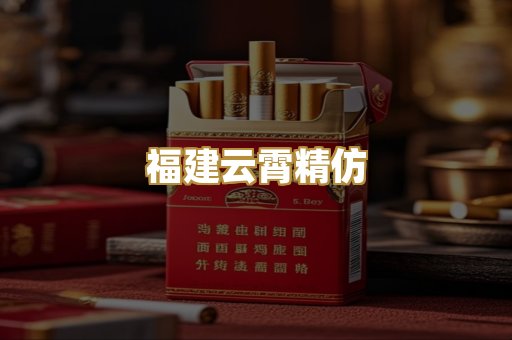 福建云霄精仿